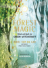 Forest_magic