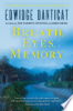Breath__eyes__memory