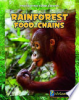 Rain_forest_food_chains