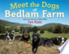 Meet_the_dogs_of_Bedlam_Farm