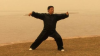 Masters_of_Heaven_and_Earth_-_Tai_Chi