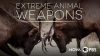 Extreme_Animal_Weapons