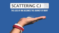 Scattering_CJ