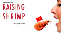 Raising_Shrimp