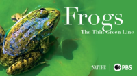 Frogs__The_Thin_Green_Line
