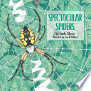 Spectacular_spiders