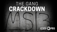 The Gang Crackdown