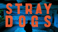 Stray_Dogs