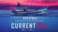 Current_Sea