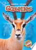 Gazelles