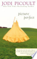 Picture_perfect