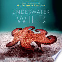 Underwater_wild