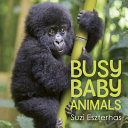 Busy_baby_animals