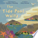 The_tide_pool_waits