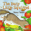 The_busy_little_squirrel