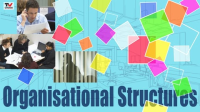 Organizational_structures