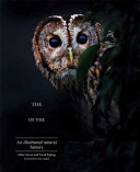 The_enigma_of_the_owl