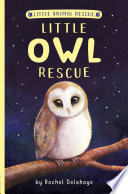 Little_owl_rescue