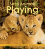 Baby_animals_playing
