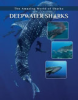 Deepwater_sharks