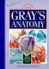 Gray_s_anatomy__the_anatomical_basis_of_medicine_and_surgery