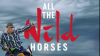 All_the_Wild_Horses