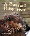 The_beavers__busy_year