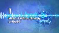 Culture__Biology__or_Both_