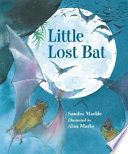 Little_lost_bat