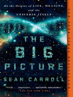 The_Big_Picture